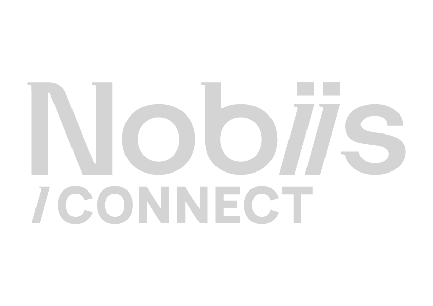 Logo Nobiis Connect Gris clair