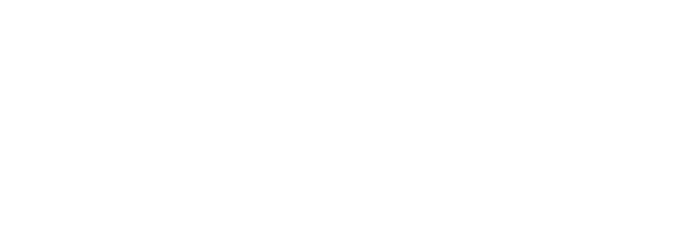Logo En réseau Blanc